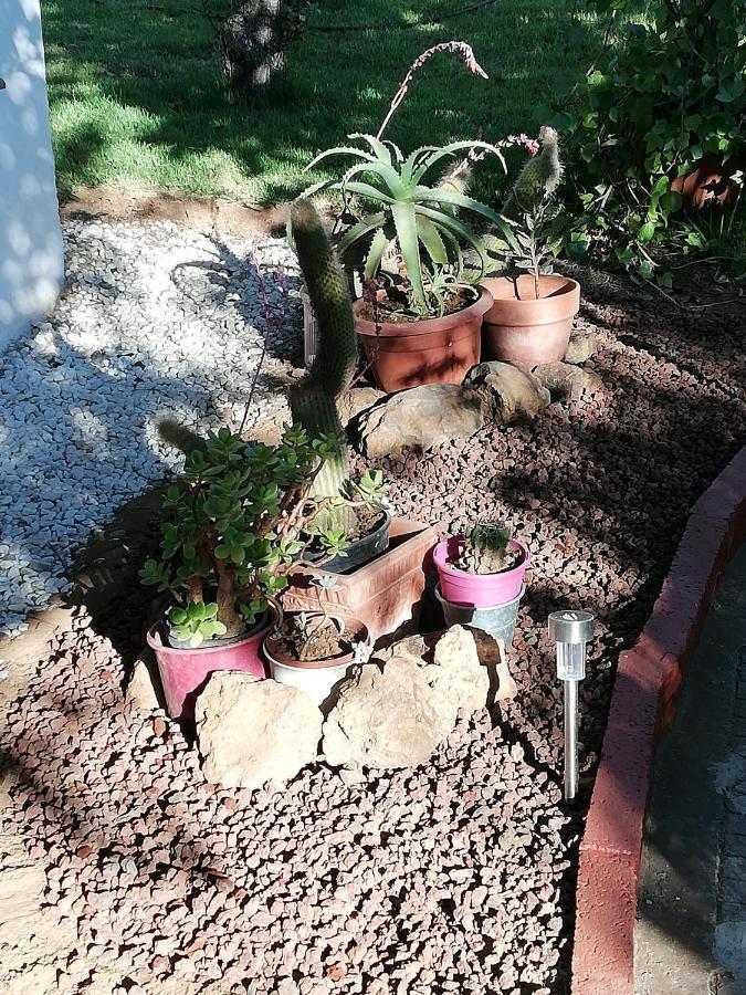 Casa Rural Limon Y Sol Sauzal Eksteriør billede